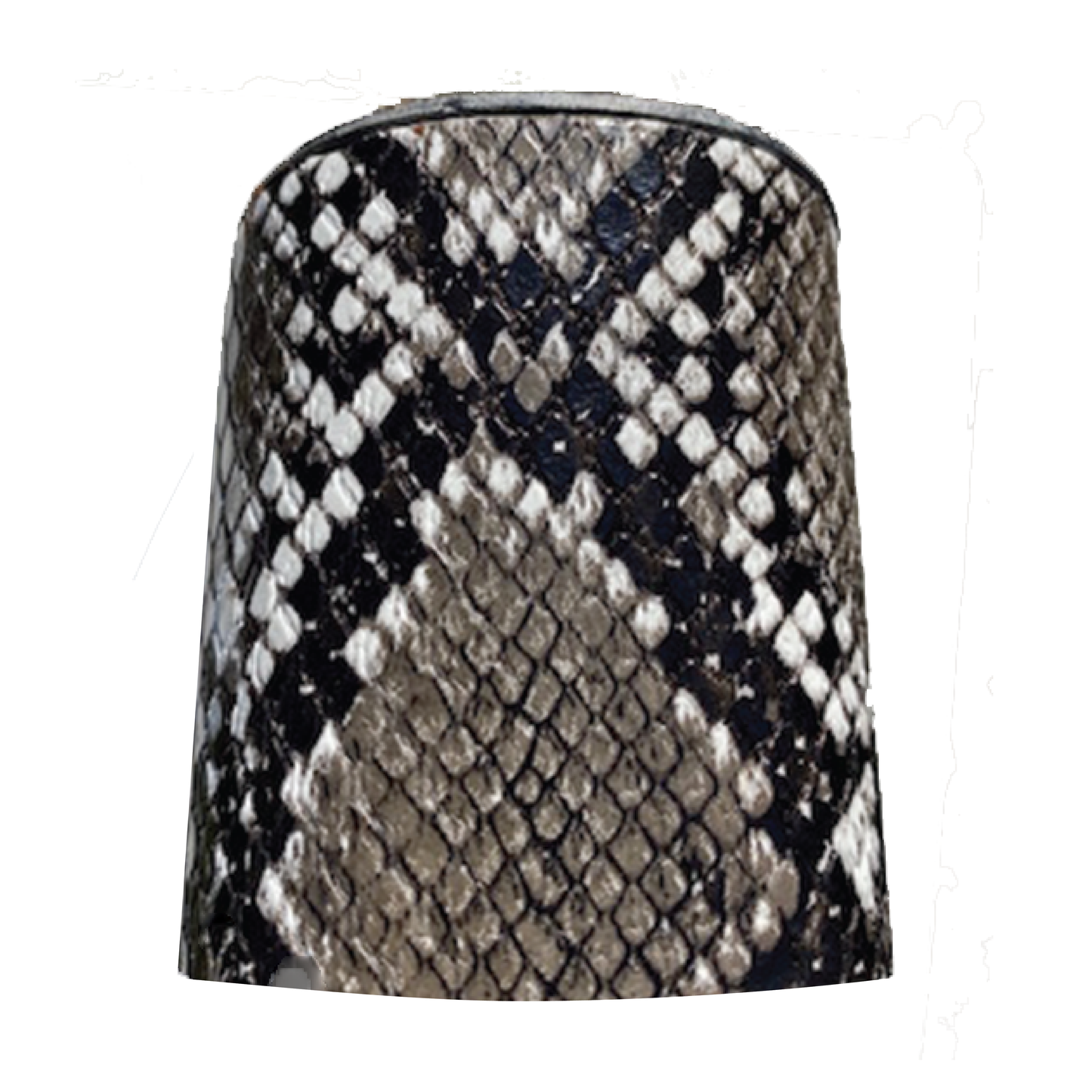 Black & White Python